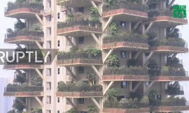 Kỳ lạ khu rừng thẳng đứng bao trùm cao ốc ở Trung Quốc