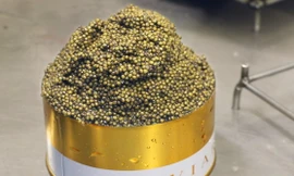 Trang trại sản xuất 'cực phẩm' trứng cá muối giá 5.700 USD/kg