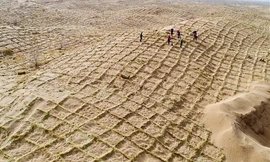 Rào chắn cát bằng gốc rạ giúp Trung Quốc đối phó sa mạc hóa