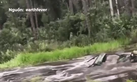 Tài xế điều khiển xe chìm trong nước lao lên bờ một cách ngoạn mục