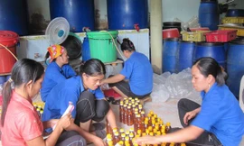 Nước mắm có 'sạch' như trên nhãn mác?