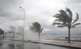 Năm 2019 bão sẽ xuất hiện muộn nhưng dị thường