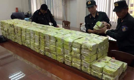 9 lô ma túy khủng bị bắt từ đầu năm đến nay