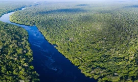 Khung cảnh kỳ vĩ của Amazon - rừng nhiệt đới lớn nhất Trái Đất
