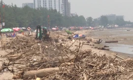 Bãi biển Sầm Sơn ngập tràn củi, rác sau bão