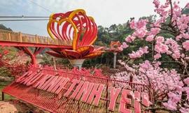 Video: Cận cảnh cầu kính 5D cao 22 m đầu tiên tại Việt Nam