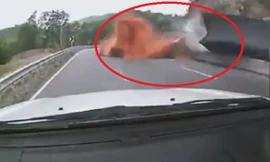 Clip: Container bị lật trên đèo sau khi vào cua gấp với tốc độ cao