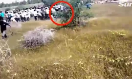 Thót tim nhìn báo hoa mai lao vào tấn công người dân