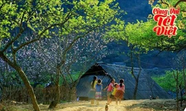 Những điểm checkin “sống ảo” dịp Tết