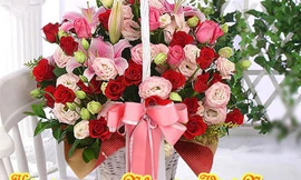 Sở GD-ĐT TPHCM đề nghị được nhận ‘hoa điện tử’ dịp 20/11