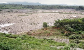 EVN 'thích' mua điện Trung Quốc giá cao?