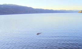 Công bố ảnh 'quái vật hồ Loch Ness'