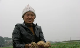 Phải tăng thêm quyền cho người sử dụng đất