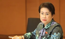 Bà Phan Thị Mỹ Thanh. Ảnh: V.V.T