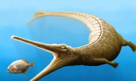  Mô phỏng loài cá sấu cổ đại vừa được tìm thấy.