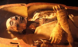 Là người đứng đầu bộ máy chính trị, pharaoh Ai Cập ban hành các điều luật, sở hữu mọi của cải trong nước, phát động các cuộc chiến tranh hay tiến hành cuộc chiến bảo vệ đất nước khi có giặc ngoại xâm... 