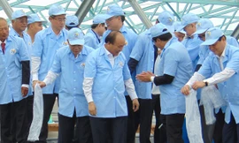 Thủ tướng Nguyễn Xuân Phúc thả tôm giống siêu thâm canh