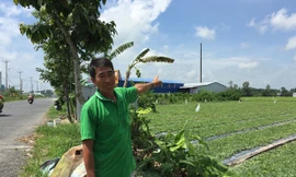 Sẽ cưỡng chế, tháo dỡ cơ sở nhôm hoạt động 'chui' gây ô nhiễm