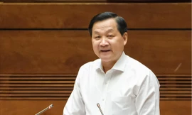 Khuyến khích các tổ chức kinh tế tập thể tích tụ đất đai