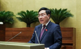 Phó Thủ tướng Phạm Bình Minh: Không có chuyện 'khai tử' môn Lịch sử