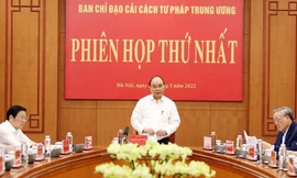 Chủ tịch nước: Tăng cường kiểm soát, nâng cao chất lượng đào tạo cử nhân luật