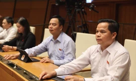 Người có hành vi bạo lực gia đình phải lao động công ích 