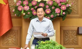 Nghiên cứu các phương án giảm thuế để hỗ trợ người dân, doanh nghiệp