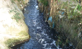 Khởi động lại dự án kênh Ba Bò