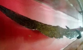 'Giải mật' thanh long đao bảo vật quốc gia ở Hải Phòng