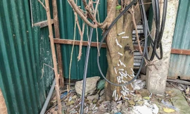 Ám ảnh cây 'xi lanh' dính máu ngay giữa Hà Nội