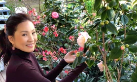 Hồng Đào, Quang Minh và nghệ sĩ Việt đón Tết ở nước ngoài thế nào?