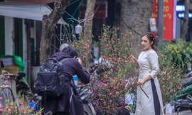 Không khí Tết ngập tràn phố phường Thủ đô