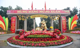 Đường phố Hà Nội trang hoàng đón Tết Canh Tý 2020