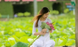 Hốt 'bạc triệu' mỗi ngày trong mùa sen Hồ Tây