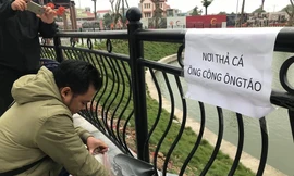 Dân chung cư Hà Nội cho cá chép 'đi cầu trượt' tiễn ông Táo