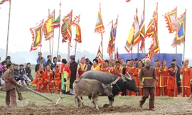 Rộn ràng Lễ hội Tịch điền