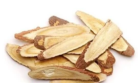 Chữa chứng mất ngủ bằng thuốc Nam