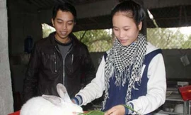 Hai cử nhân về quê nuôi thỏ