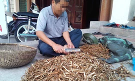 “Đông dược” hay độc dược ?