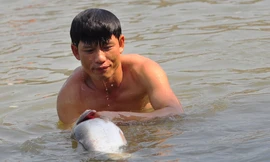 Thủy điện Trị An đóng đập, người dân đổ xô về bắt cá 'khủng'