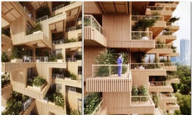 Cận cảnh chung cư gỗ 18 tầng 'kịch độc'