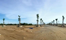 Công an có ngăn được đầu cơ thổi giá đất ở TP HCM?