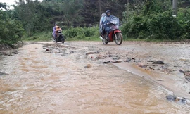Đà Nẵng: Ám ảnh với 22 km đường ĐT 601 biến thành ao sau mưa lớn