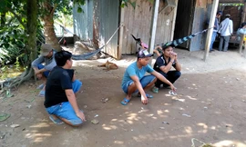 Triệt phá tụ điểm đá gà có cảnh giới từ xa