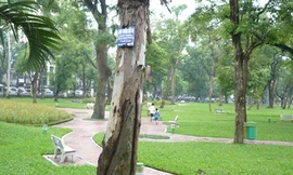 Phải giữ công viên bằng mọi giá