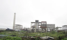 Các ngân hàng đã giải ngân hơn 800 tỷ đồng vào dự án, nhưng nay nhà máy vẫn phơi sương, cỏ mọc đầy