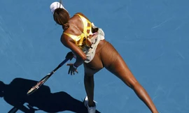 Venus Williams mặc quần…cũng như không