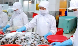 Ngành tôm Mỹ chia rẽ vì vụ kiện với Việt Nam