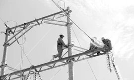 Về đích vượt trội