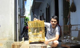 Thành - SV ĐH Kiến trúc Đà Nẵng chia sẻ bữa ăn và phòng trọ của mình cho 4 lồng chim. Ảnh: T.H